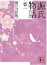 源氏物語　全10冊揃い+瀬戸内寂聴の源氏物語の11冊 ＜講談社文庫＞