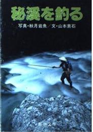 秘渓を釣る