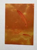 月刊ニュータイプ