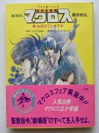 超時空要塞マクロス　劇場版　愛・おぼえていますか 