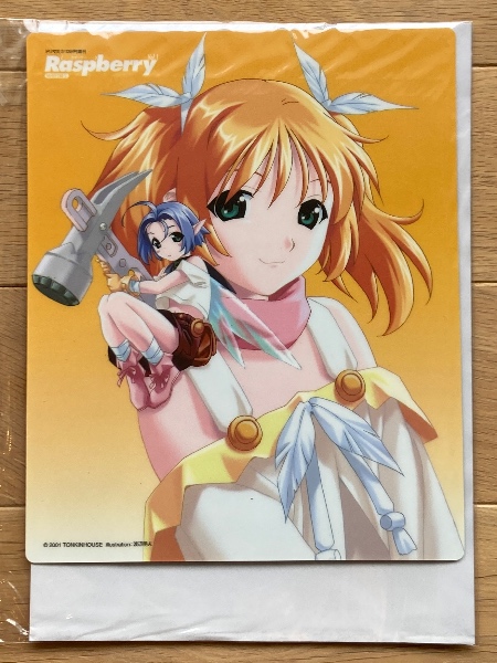 正規激安 Raspberry（ラズベリー） 古本、中古本 / ブックス・カルボ / パソコンゲーム