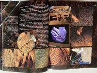 [洋]THE MAKING OF GODZILLA