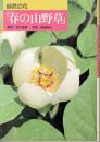自然の花「春の山野草」