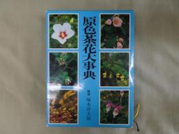 原色茶花大事典