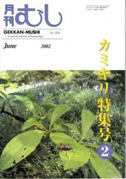 カミキリ特集号②　月刊むし №376　JUNE  2002　