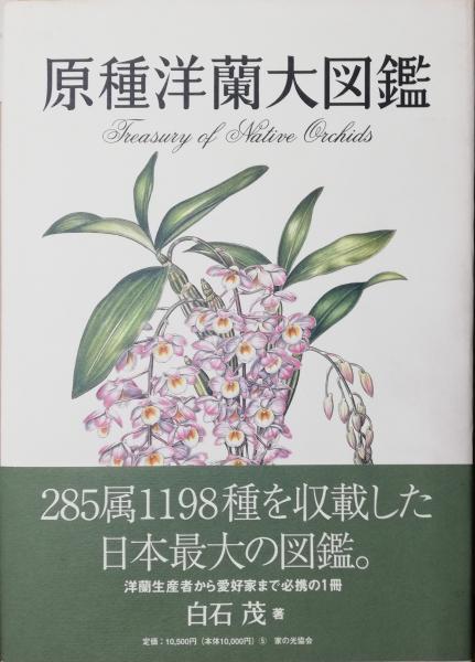 【在庫処分】 原種洋蘭大図鑑(白石茂 著) / 古本、中古本、古書籍の通販は 家庭菜園