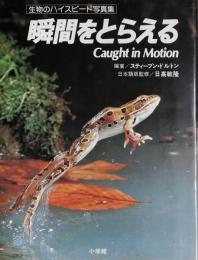 瞬間をとらえる　 生物のハイスピード写真集