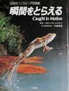 瞬間をとらえる　 生物のハイスピード写真集