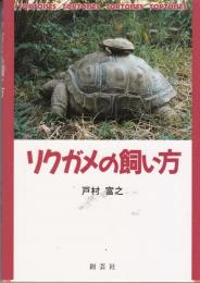 リクガメの飼い方