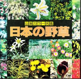 日本の野草