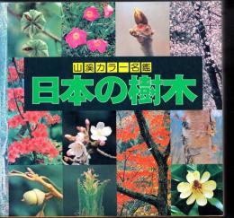 日本の樹木