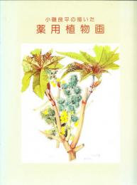 小磯良平の描いた薬用植物画