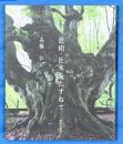 巨樹・巨木をたずねて