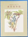 小磯良平の描いた薬用植物画