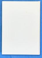 意志のかたち、希望のありか : カントとベンヤミンの近代