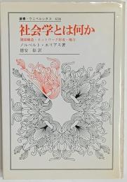 社会学とは何か　関係構造・ネットワーク形成・権力　叢書・ウニベルシタス438