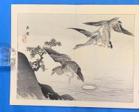 御代之花（御代の花）　初輯～十五輯　全十五冊一帙
　