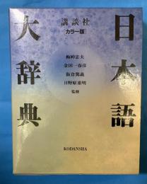 講談社カラー版　日本語大辞典