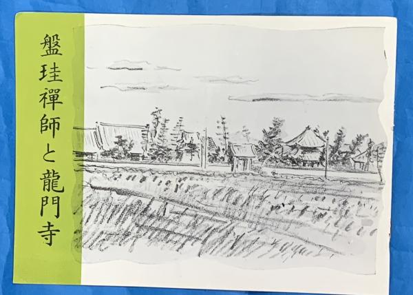 あらかじめ裏切られた革命 (講談社文庫 い 82-1) | 岩上 安身