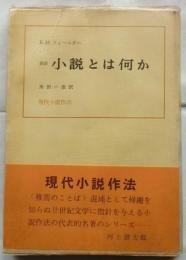 新訳小説とは何か　【現代小説作法】