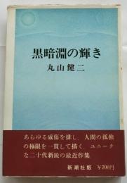 黒暗淵の輝き