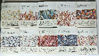 ロラン・バルト著作集 全10巻揃(ロラン・バルト) / 古本、中古本、古