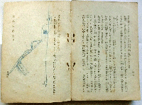 養鶏の研究
