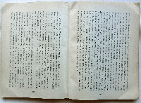 ジャガタラ閑話 蘭印時代邦人の足跡