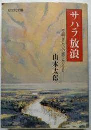 サハラ放浪　文明ぎらいの旅2万キロ　【旺文社文庫】