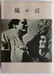 嵐が丘【世界文學選書62】