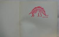 蝶・蛾の世界　蝶のルーツをさぐる　第17回特別展解説書