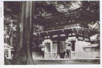 観光　国定公園　比叡山ガイド/絵葉書4枚入