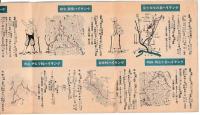 ハイキングカード　一般向　/秋のハイキングルート指定地 略地図