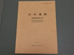 山垣遺跡　<発掘調査報告書・近畿自動車舞鶴線関係・埋蔵文化財調査報告書13>