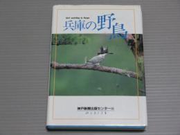 兵庫の野鳥