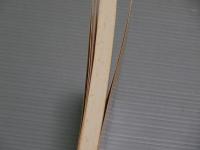 野の花101話<阪神間で見つけた小さな花たち>