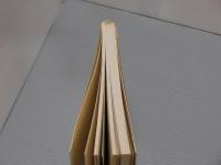 こうべ自然誌<生き物たちとの12ヵ月>