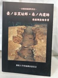 壺ノ谷窯址群・桑ノ内遺跡発掘調査報告書 : 京都府園部町所在