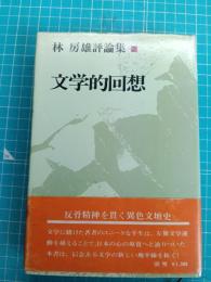 文学的回想