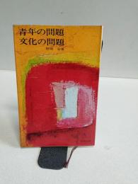 青年の問題文化の問題