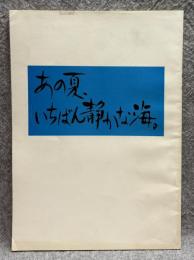 あの夏、いちばん静かな海 【映画台本】