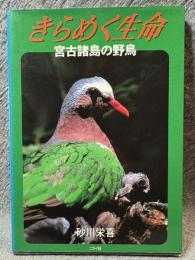 きらめく生命 ： 宮古諸島の野鳥