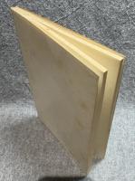 ヘミングウェイ E.Hemingway 英米文学批評双書