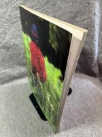 あみものワールド ： 別冊毛糸だま（あみものWORLD）