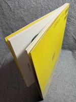 ニール・ディナーリ インタラプテッド・プロジェクションズ　ギャラリー・間 叢書 04