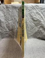 イタリアの都市再生 ： 造形 別冊 1