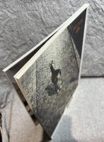 A+U architecture and urbanism ： 建築と都市 No.436(2007年1月号)  特集 MVRDV FILES 2