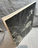 金城美智子 「光と影の世界」 写真集