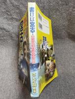 書けば宮古！ ： あららがまパラダイス読本
