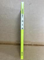 走る馬 比嘉加津夫文庫 9